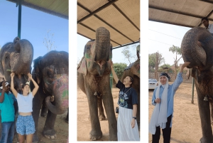 Jaipur Pink City Heritage Tour: Mit dem Auto und Guide buchen