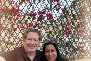 Jaipur Pink City Heritage Tour: Mit dem Auto und Guide buchen