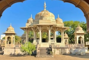 Jaipur: Private 2-Days Jaipur City Tour & Ranthambore Safari
