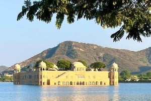 Jaipur: Private 2-Days Jaipur City Tour & Ranthambore Safari