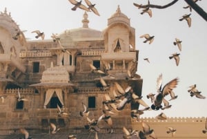 Jaipur: Private Amber Fort, Jal Mahal and Stepwell Tour
