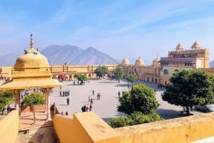 Jaipur: Heldags stadstur med AC-fordon med guide