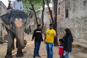 Jaipur: Heldags stadstur med AC-fordon med guide