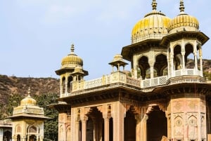 ジャイプル：ガイドと入場チケット付きプライベート市内ツアー