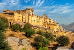 Jaipur: Tour privado de la ciudad con buffet opcional y entradas