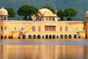 Jaipur: Privat byrundtur med valgfri buffet og billetter