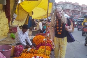 Jaipur: Privat dagstur med inträdesbiljetter