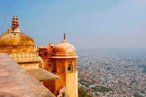Jaipur Private Day Trip with Monument Tickets from New Delhi