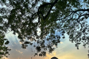 Jaipur: Privat tempelrundtur i Delhi och promenad i Lodhi Garden