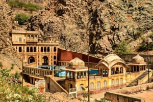 Jaipur: Private Evening Tour W/ Monkey Temple & Local Market