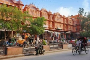 Jaipur: Private Full Day City Tour By Tuk-Tuk/Car with Guide