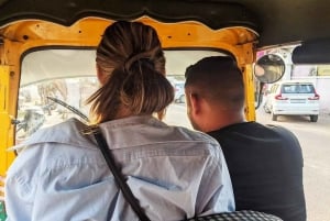 Jaipur: Private Full-Day City Tour By Tuk-Tuk with Pick-Up