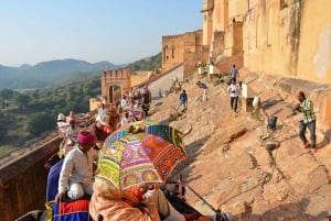 Jaipur: Privat heldags byrundtur i tuk-tuk med afhentning