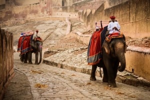 Jaipur: Privat heldags byrundtur med tuk-tuk og henting