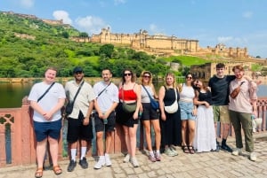 Jaipur: Full Day City Tour With Guide