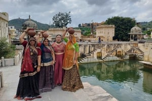 Jaipur: Full Day City Tour With Guide