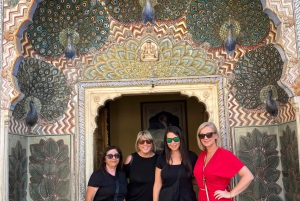 Jaipur: Full Day City Tour With Guide