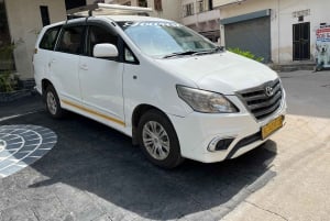 Jaipur: Full Day Heritage Sightseeing Tour with Food Testing