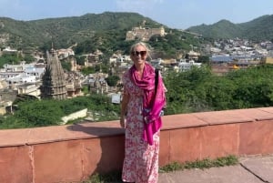 Jaipur: Private Full-Day Guided City Tour