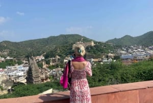 Jaipur: Private Full-Day Guided City Tour