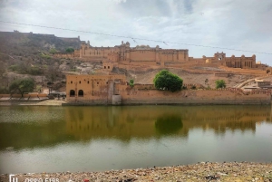 Jaipur: Private Ganztagestour mit Stadtführung