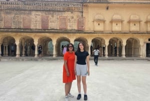 Jaipur: Private Full-Day Guided City Tour