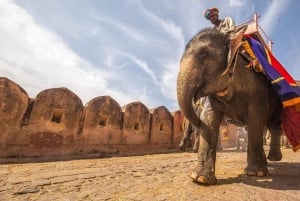 Jaipur: Private Full Day Jaipur Royal City Tour By Tuk-Tuk