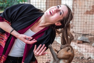 ジャイプル：車またはトゥクトゥクで行く1日プライベート観光ツアー