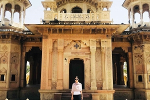 Jaipur: Yksityinen koko päivän kestävä Pink City -kierros apinatemppelillä