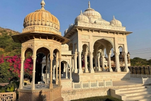 Jaipur: Yksityinen koko päivän kestävä Pink City -kierros apinatemppelillä