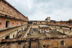Jaipur: Yksityinen koko päivän kestävä Pink City -kierros apinatemppelillä