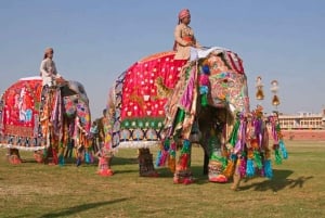 Jaipur: Privat heldagstur med bil och guide