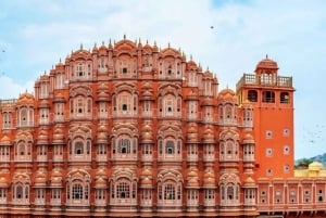 Jaipur: Privat heldagstur med bil och guide