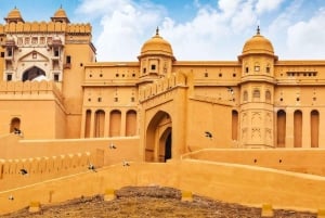 Jaipur: Privat heldagstur med bil och guide