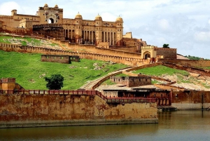 Jaipur: Private Full-Day Tour with Guide and Transport