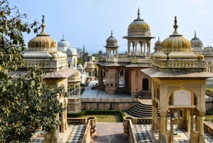 Jaipur: Private Full-Day Tour with Guide and Transport