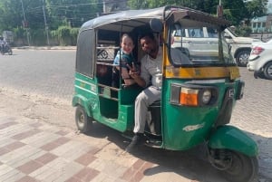 Jaipur: Heldags tuk-tuk sightseeingtur med apetempel