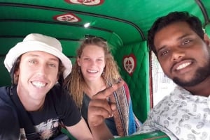 Jaipur: Heldags tuk-tuk sightseeingtur med apetempel