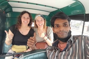 Jaipur: Heldags tuk-tuk sightseeingtur med apetempel