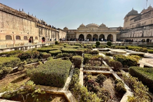 Jaipur: tour guiado privado pela cidade com recolha e entrega no hotel