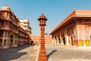 Jaipur: Privat guidad dagstur med palats och dolda pärlor