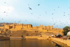 Jaipur: Private Guided Half Day Tour in Jaipur