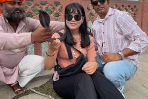 Dżajpur: prywatna wycieczka samochodowa z przewodnikiem – półdniowa lub całodniowa