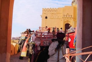 Jaipur: Half-Day Guided Sightseeing Tour with Flower Market