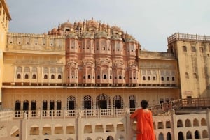 Jaipur: Half-Day Guided Sightseeing Tour with Flower Market