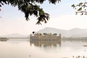 Jaipur: Private Jaipur Full-Day Tour With Guide