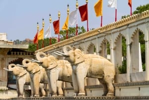 Jaipur: visita guiada privada de um dia inteiro ou meio dia de carro