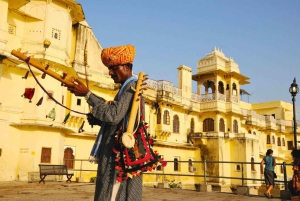 Jaipur: visita guiada privada de um dia inteiro ou meio dia de carro