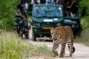 Jaipur : Visite privée de Jhalana avec safari aux léopards