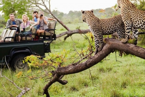Jaipur: Excursão privativa ao Jhalana Leopard Safari